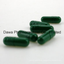 300 mg de Clindamicina HCl / Clindamicina Clorhidrato Cápsula